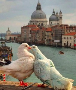 Screen Shot 2020 02 10 at 09.44.24